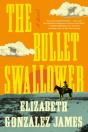 Bullet Swallower - Preview
