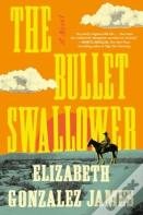 Bullet Swallower