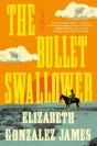 Bullet Swallower - Preview