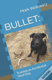 Bullet: Training An Accidental Shed Dog