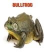 Bullfrog - Preview