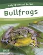 Bullfrogs - Preview