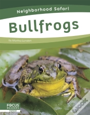 Capa do artigo Bullfrogs