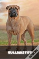 Bullmastiff