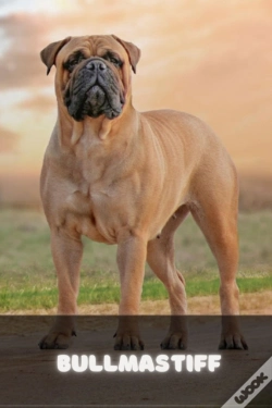 Capa do artigo Bullmastiff