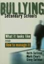 Bullying In Secondary Schools - Preview
