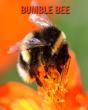 Bumble Bee - Preview