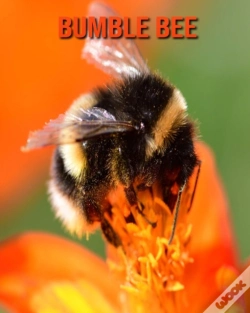 Capa do artigo Bumble Bee