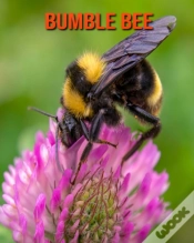 Capa do artigo Bumble Bee