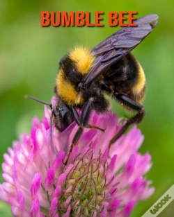 Capa do artigo Bumble Bee