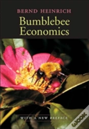 Capa do artigo Bumblebee Economics