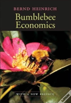 Capa do artigo Bumblebee Economics