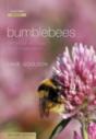 Bumblebees - Preview
