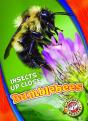 Bumblebees - Preview