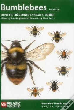 Capa do artigo Bumblebees