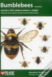 Bumblebees