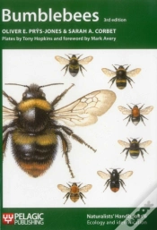 Capa do artigo Bumblebees