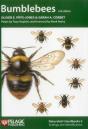 Bumblebees - Preview