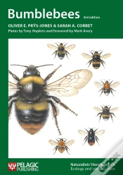 Capa do artigo Bumblebees