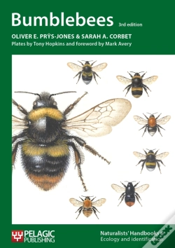 Capa do artigo Bumblebees