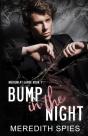 Bump In The Night (Medium At Large Book 1) - Preview