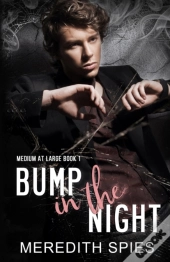 Bump In The Night (Medium At Large Book 1)