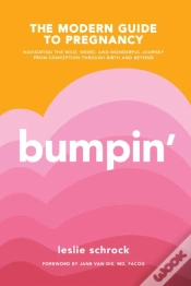 Capa do artigo Bumpin