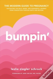 Capa do artigo Bumpin