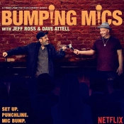 Capa do artigo Bumping Mics - Vinil