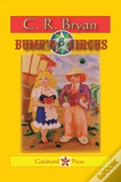 Capa do artigo Bump