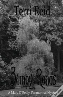 Capa do artigo Bumpy Roads
