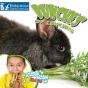 Bunches Of Lunches - Preview