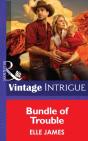 Bundle Of Trouble - Preview