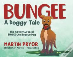 Bungee