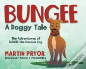 Capa do artigo Bungee