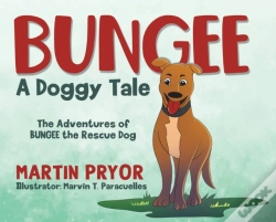 Capa do artigo Bungee