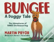Capa do artigo Bungee