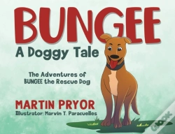 Capa do artigo Bungee