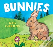 Capa do artigo Bunnies