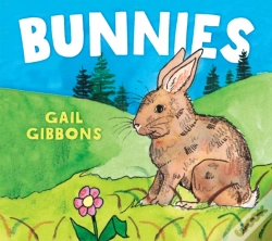 Capa do artigo Bunnies