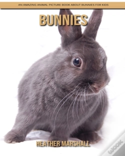 Capa do artigo Bunnies