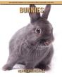 Bunnies - Preview