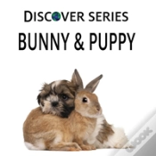 Capa do artigo Bunny & Puppy