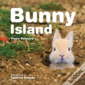 Capa do artigo Bunny Island