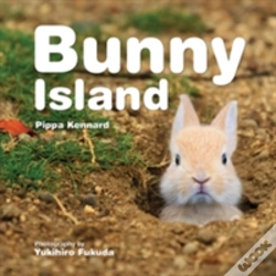 Capa do artigo Bunny Island
