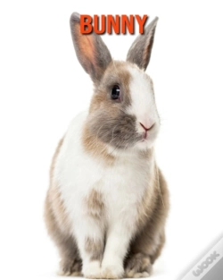 Capa do artigo Bunny