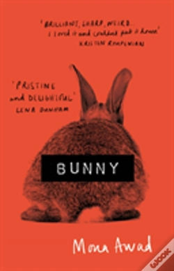 Capa do artigo Bunny