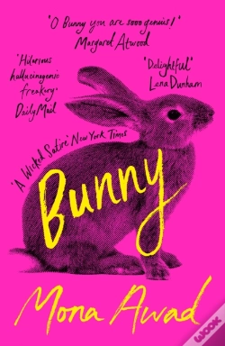 Capa do artigo Bunny