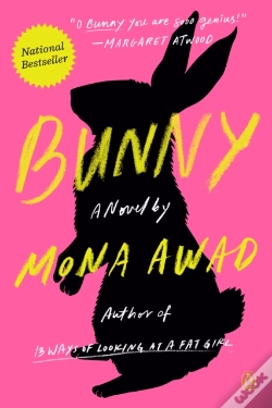 Capa do artigo Bunny