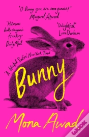 Capa do artigo Bunny